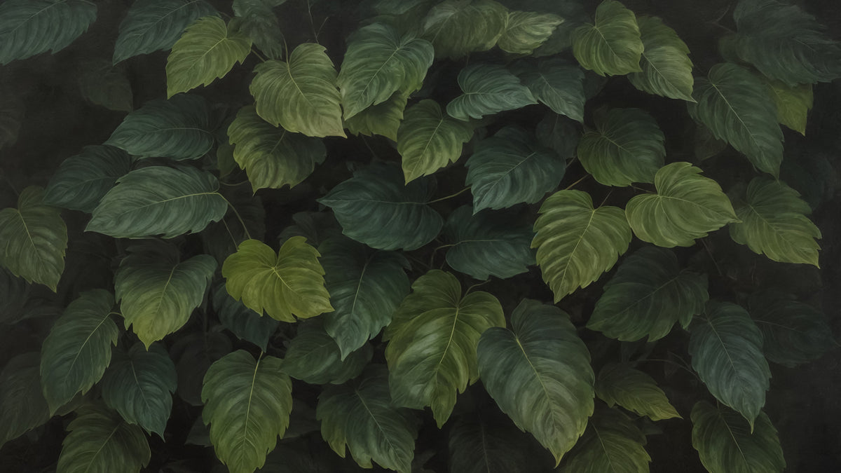 Deep Green Foliage Wall Mural in your room