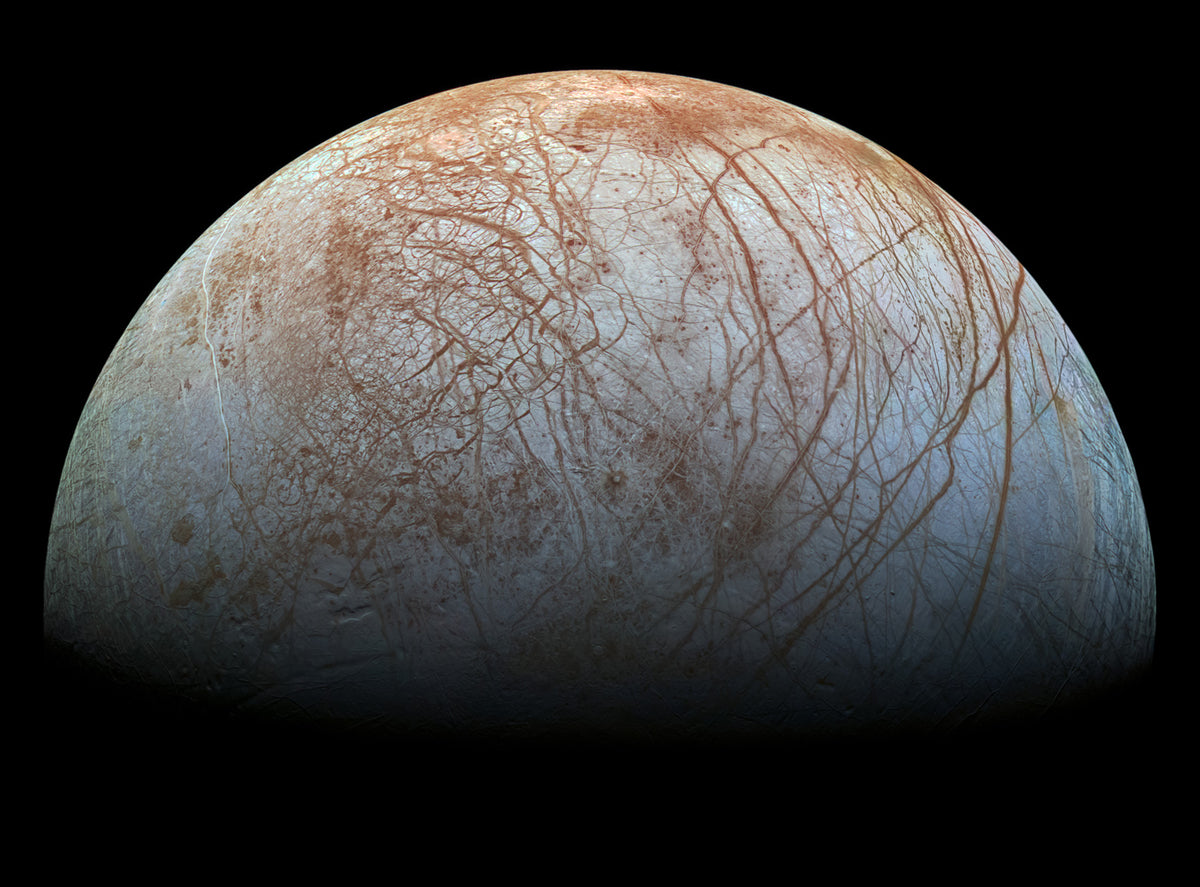 Europa: The Veined Moon Wall Mural in your room