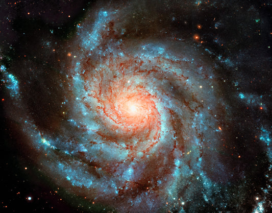 Galactic Dream Wall Mural