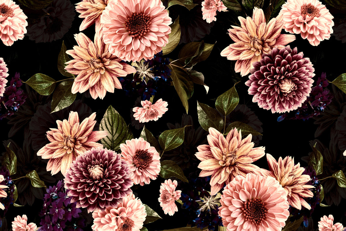 Vintage Flowering Dahlia Night Garden Wall Mural in your room