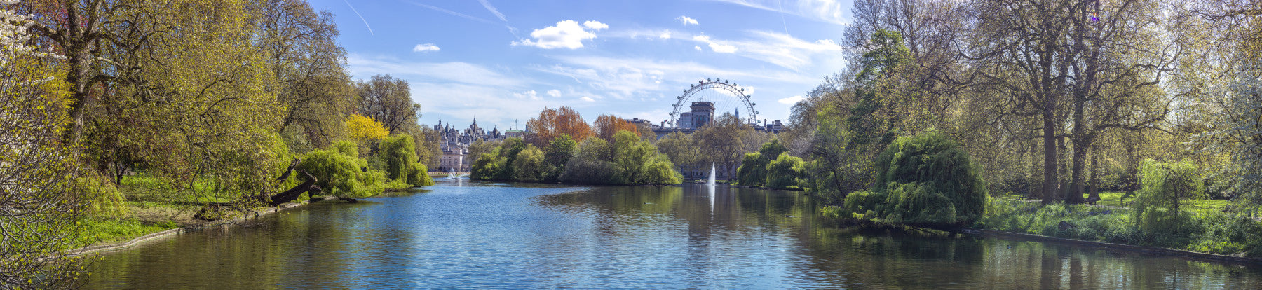 St James Park Wall Mural in your room — zoomed