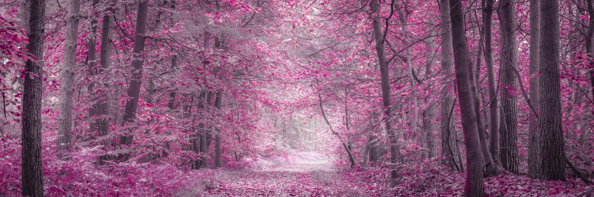 Pink Forest Pathway Wall Mural in your room