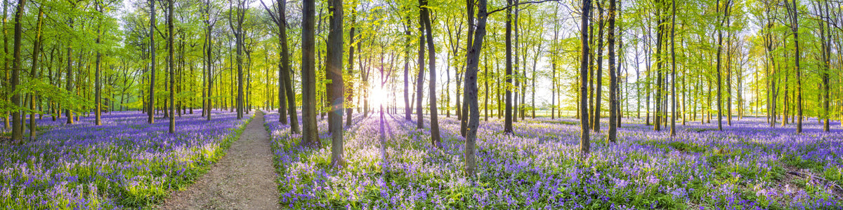 Springtime Serenity Wall Mural in your room — zoomed