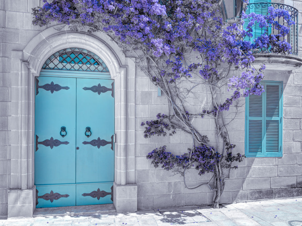 Maltese House Wall Mural in your room
