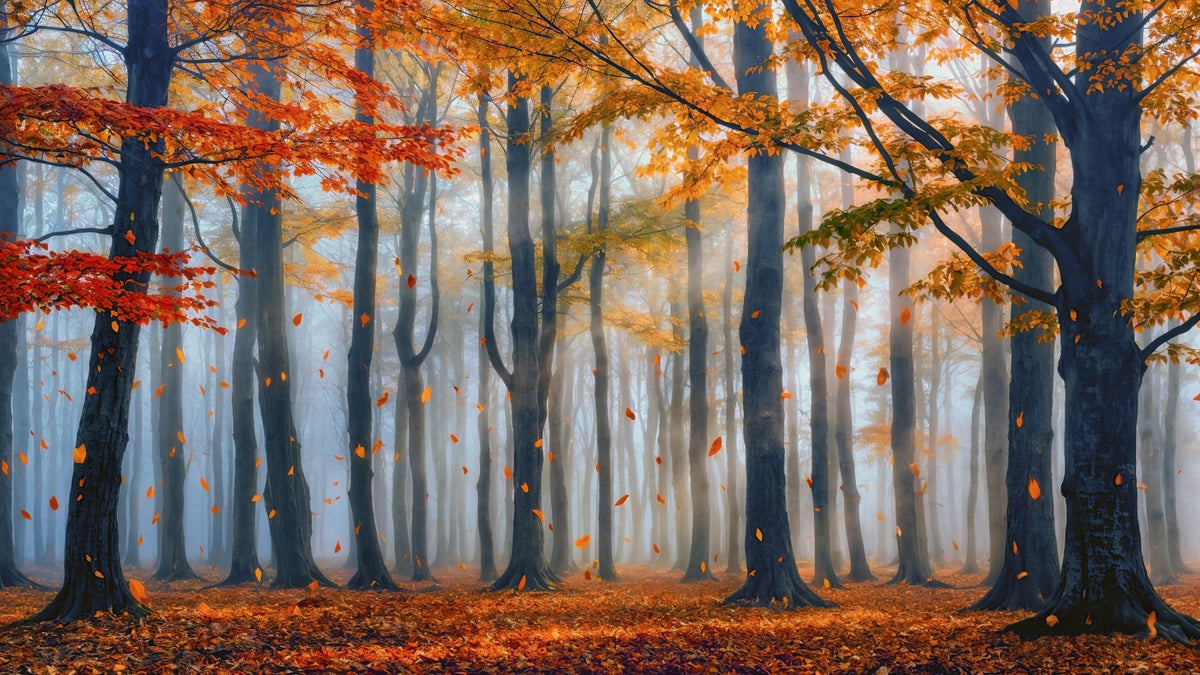 Golden Forest Serenity Wall Mural in your room