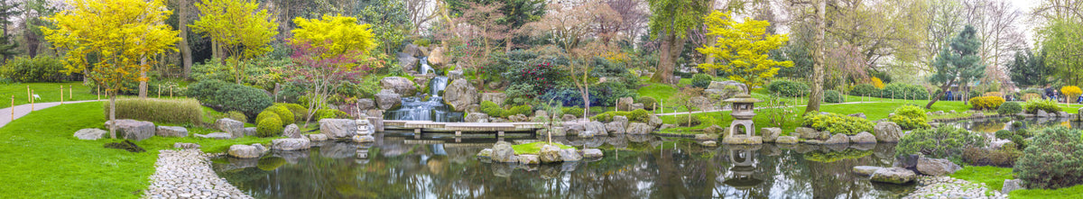 Kyoto Garden Wall Mural in your room