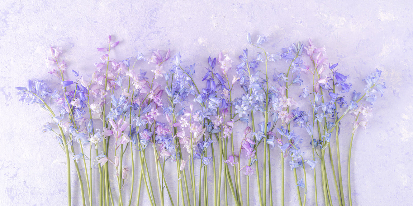 Bluebell Dream Wall Mural