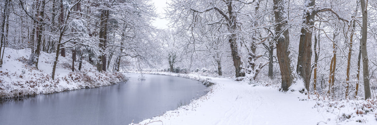 Snowy Canal Dream Wall Mural in your room — zoomed