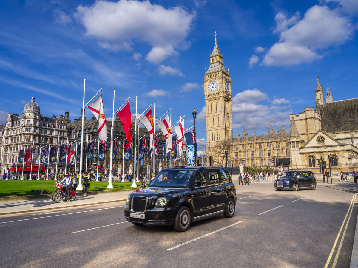 Westminster View Wall Mural in your room — zoomed