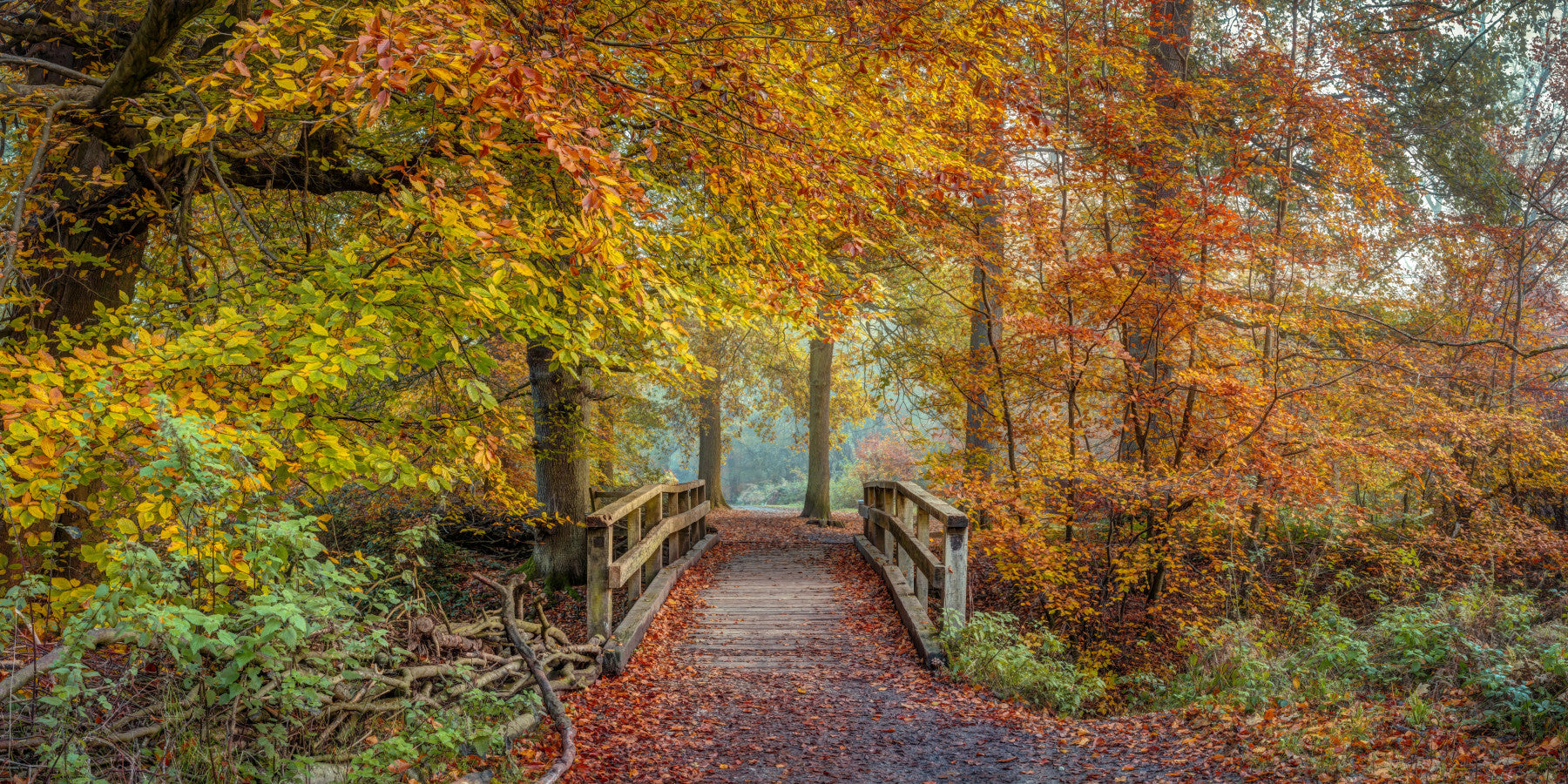 Bridging Seasons Wall Mural