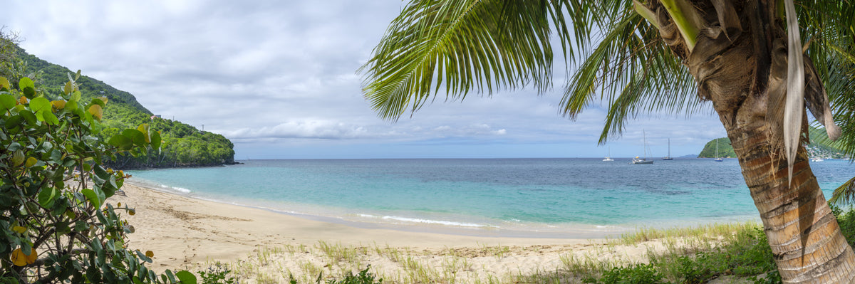 Emerald Waters Beach Wall Mural in your room