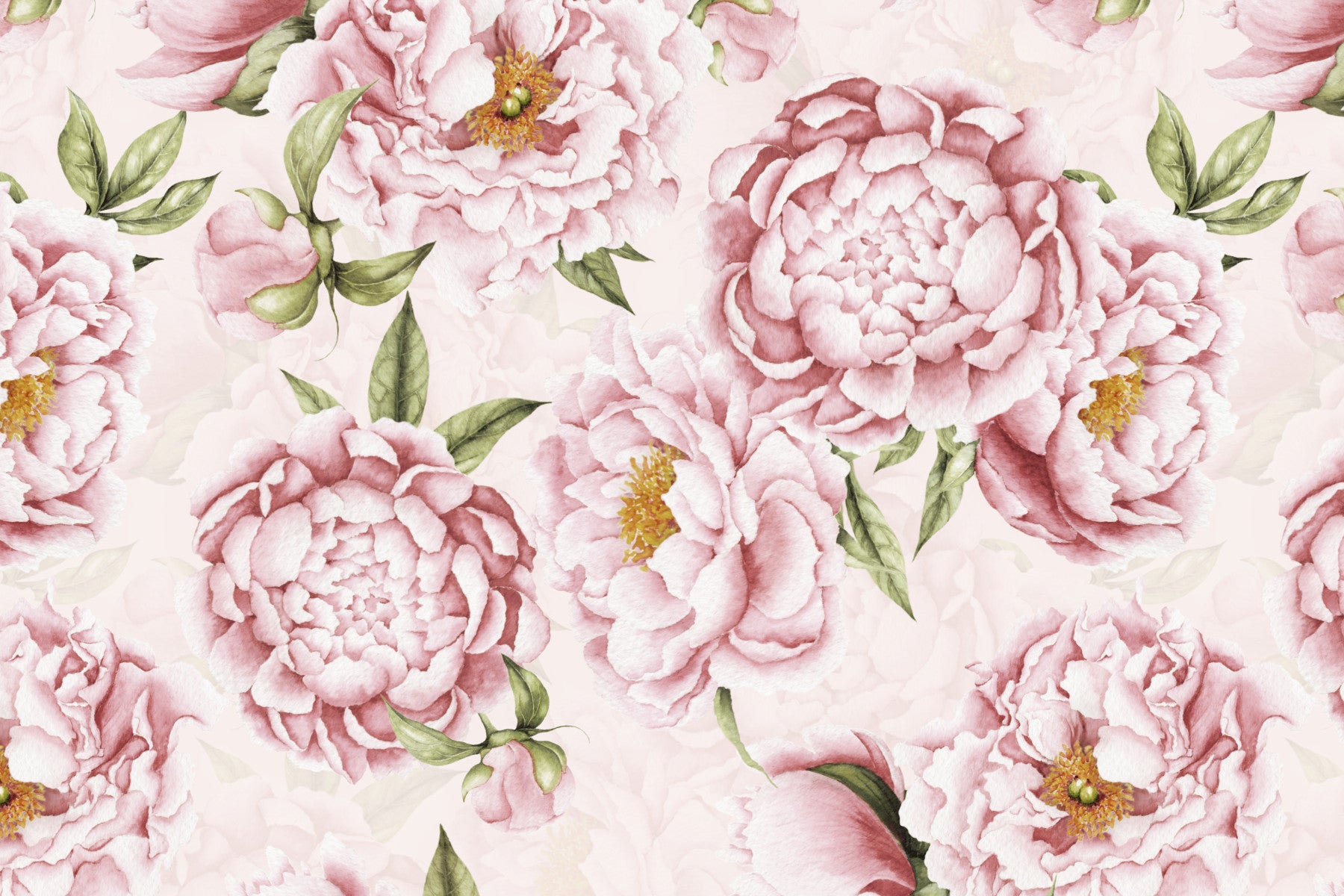 Peony Blush Blooms Garden Wall Mural