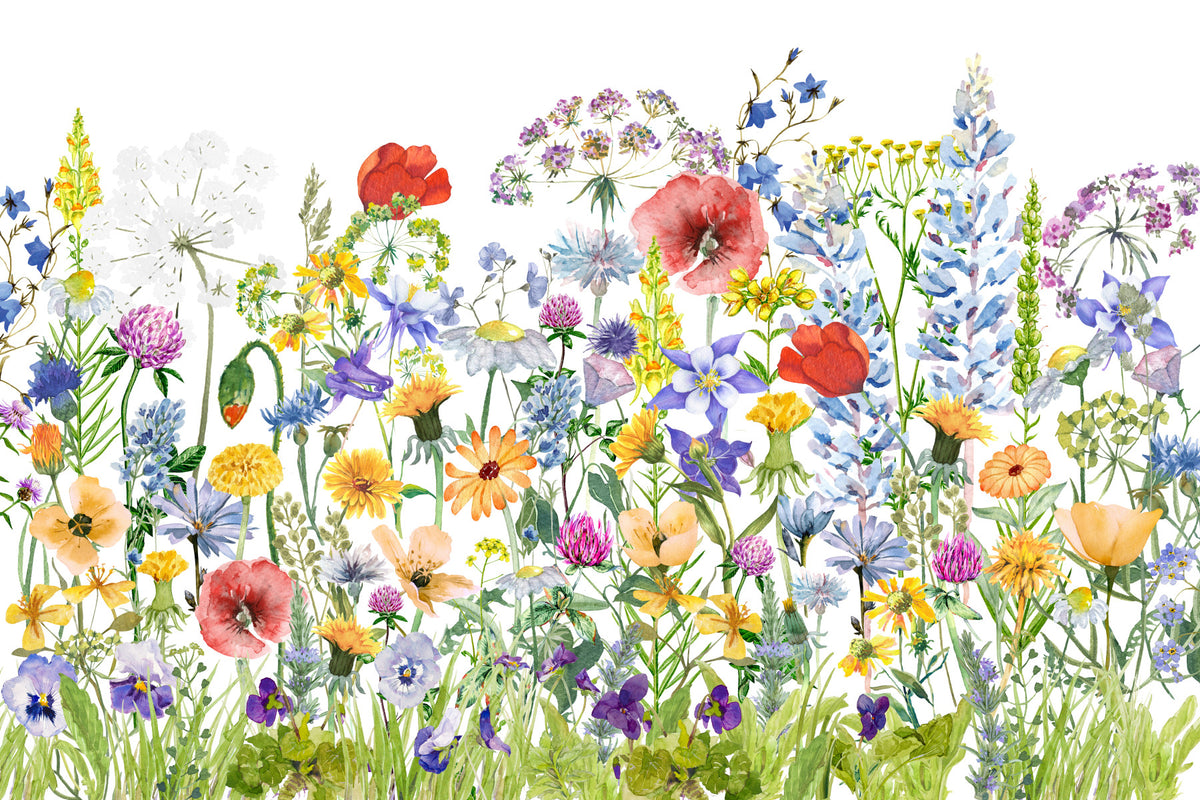 Scandinavian Watercolor Meadow Poppies with Colorful Wildflowers Wall Mural