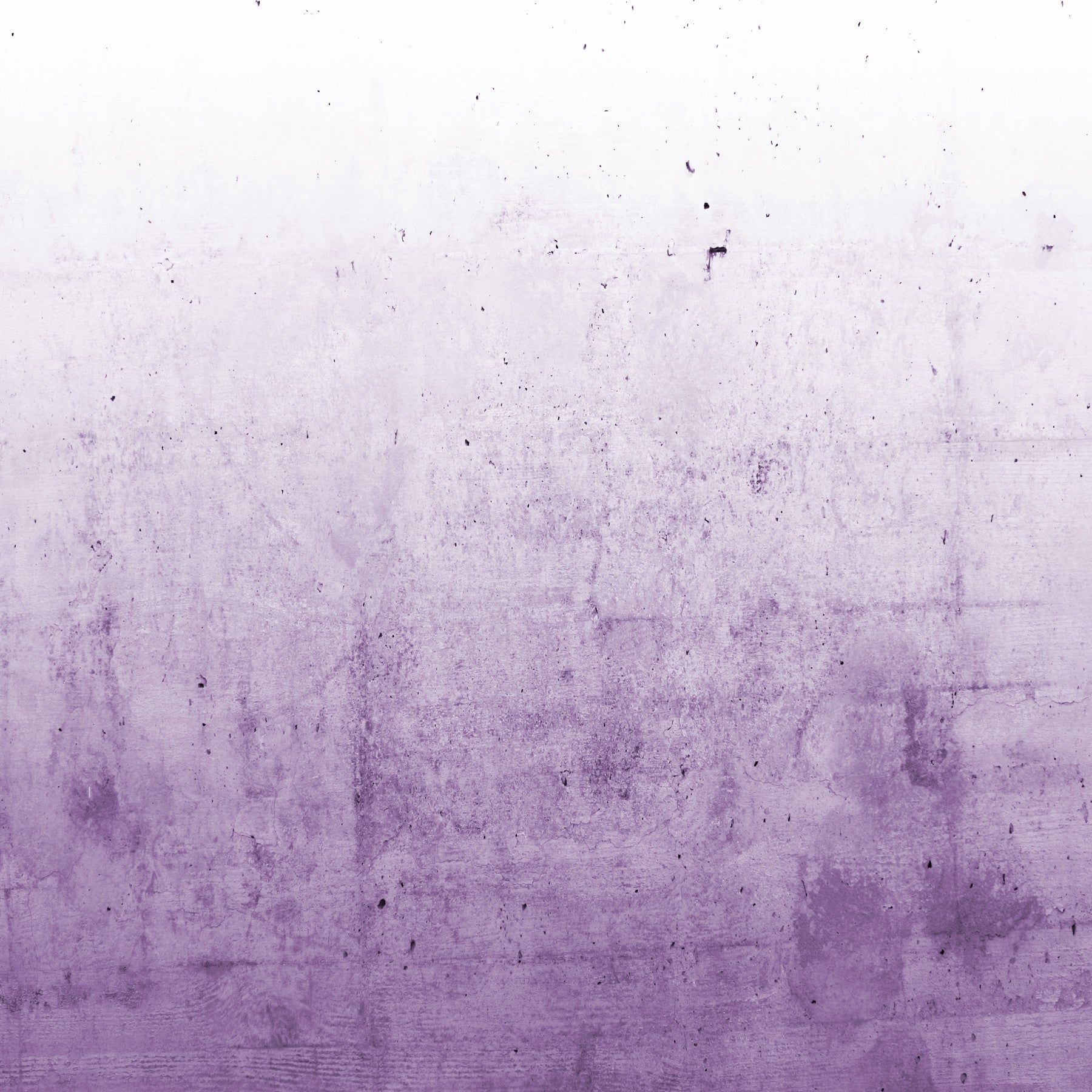 Wall mural with a radiant orchid ombre on a concrete texture.

