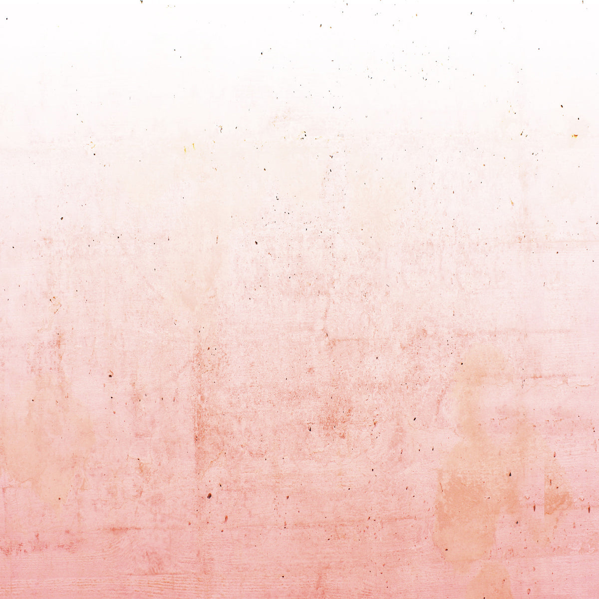 Pink Ombre on Concrete Wall Mural in your room — zoomed