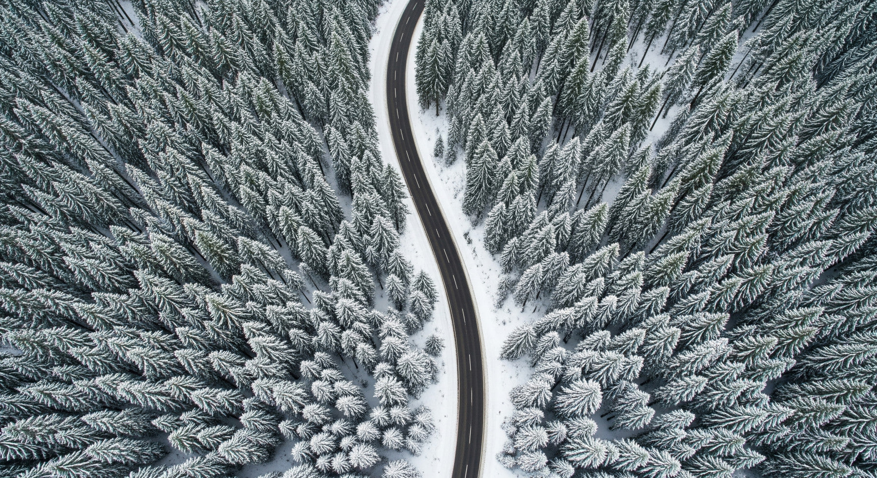 Winter Road Wall Mural