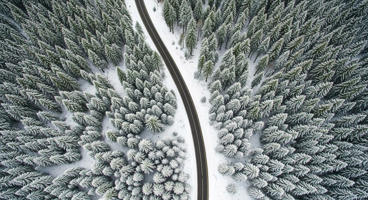 Winter Road Canopy Wall Mural