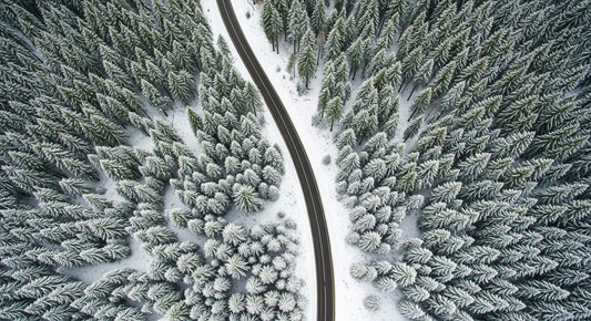 Winter Road Canopy Wall Mural