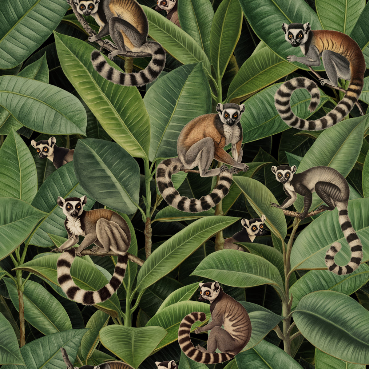 Ficus Forest Monkey Paradise Wallpaper⁠ in your room — zoomed