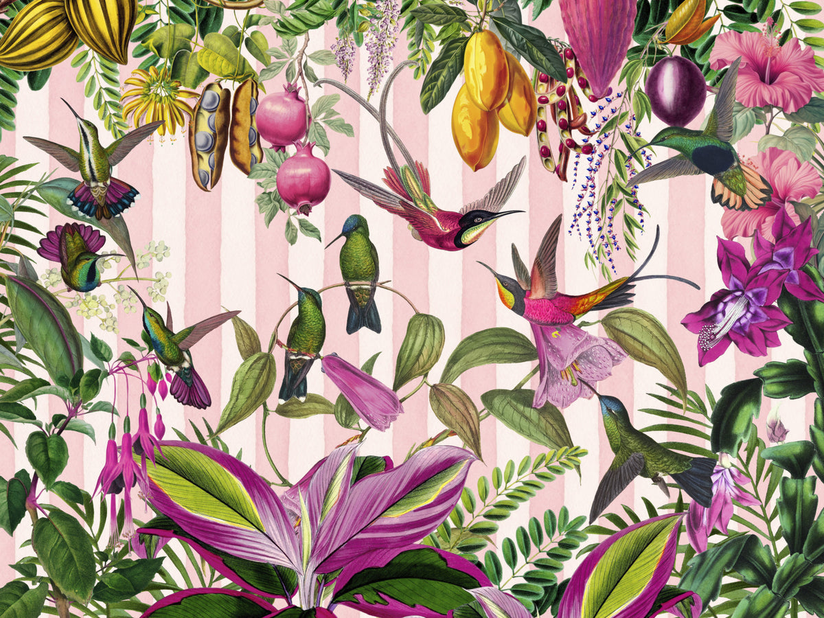 Hidden Exotic Hummingbird Paradise With Stripes Wall Mural in your room