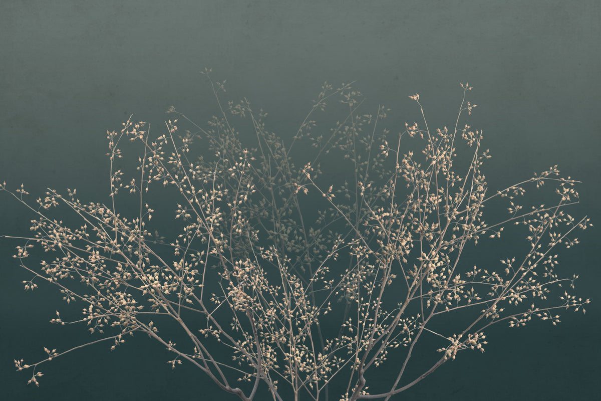 Ethereal Branching Wall Mural in your room