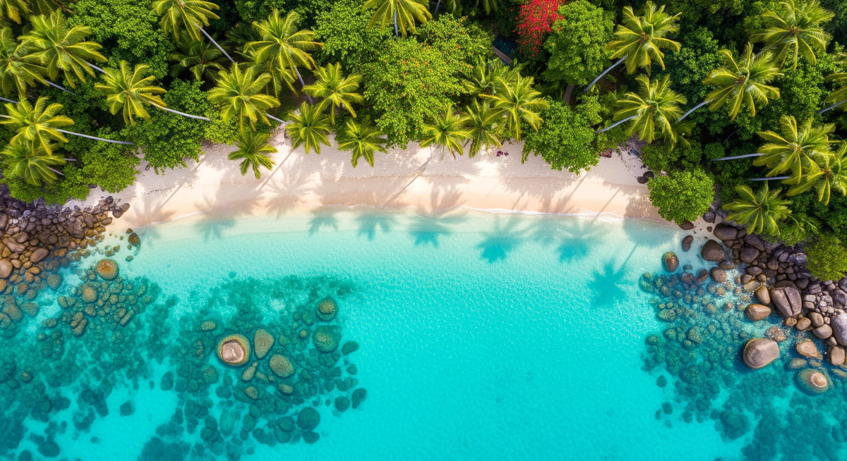Tropical Dreams Wall Mural in your room — zoomed