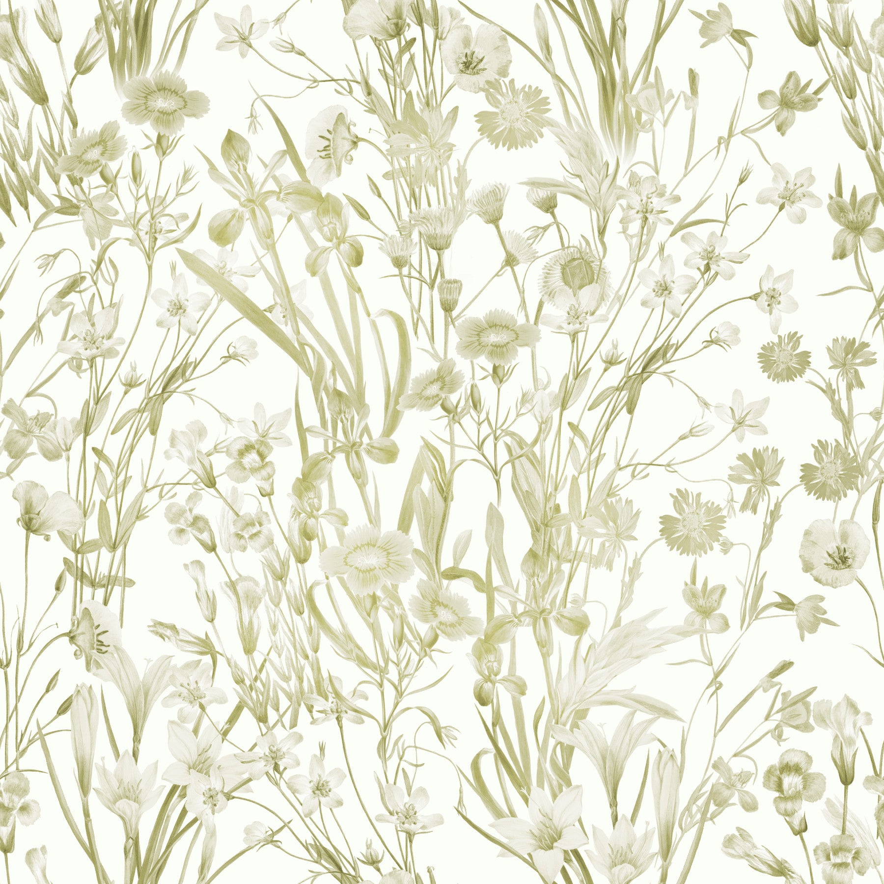 Summer Meadow Wallpaper⁠