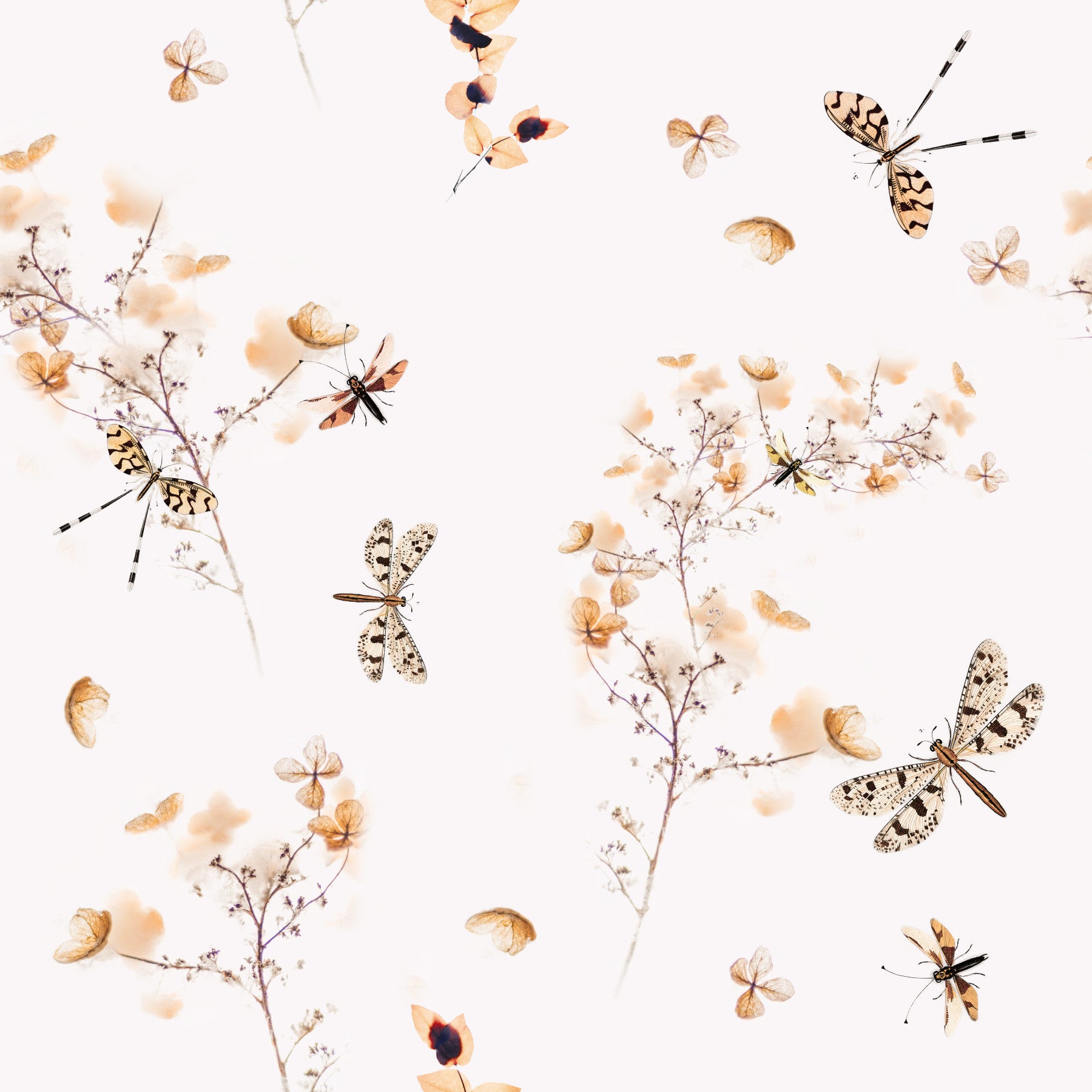 Wallpaper with dragonflies among pink and white flowers

