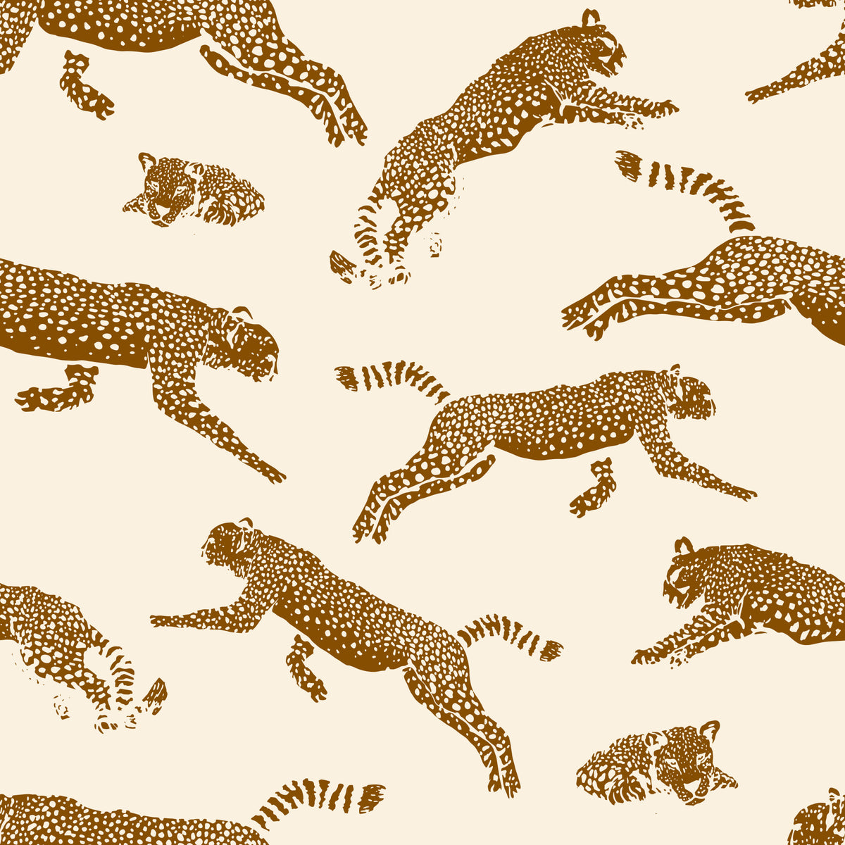 Leopards Wallpaper⁠ in your room — zoomed