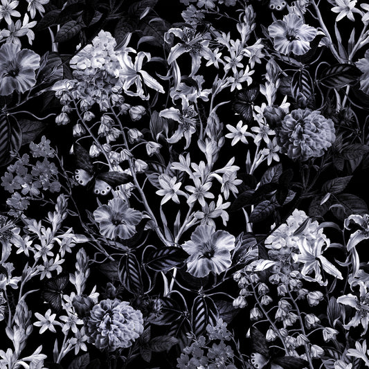 Dark Blossom Wallpaper⁠