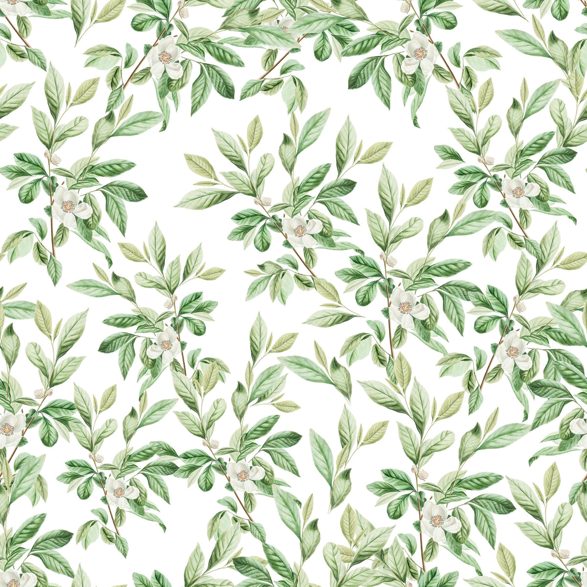 Spring Leaves  Wallpaper⁠ in your room