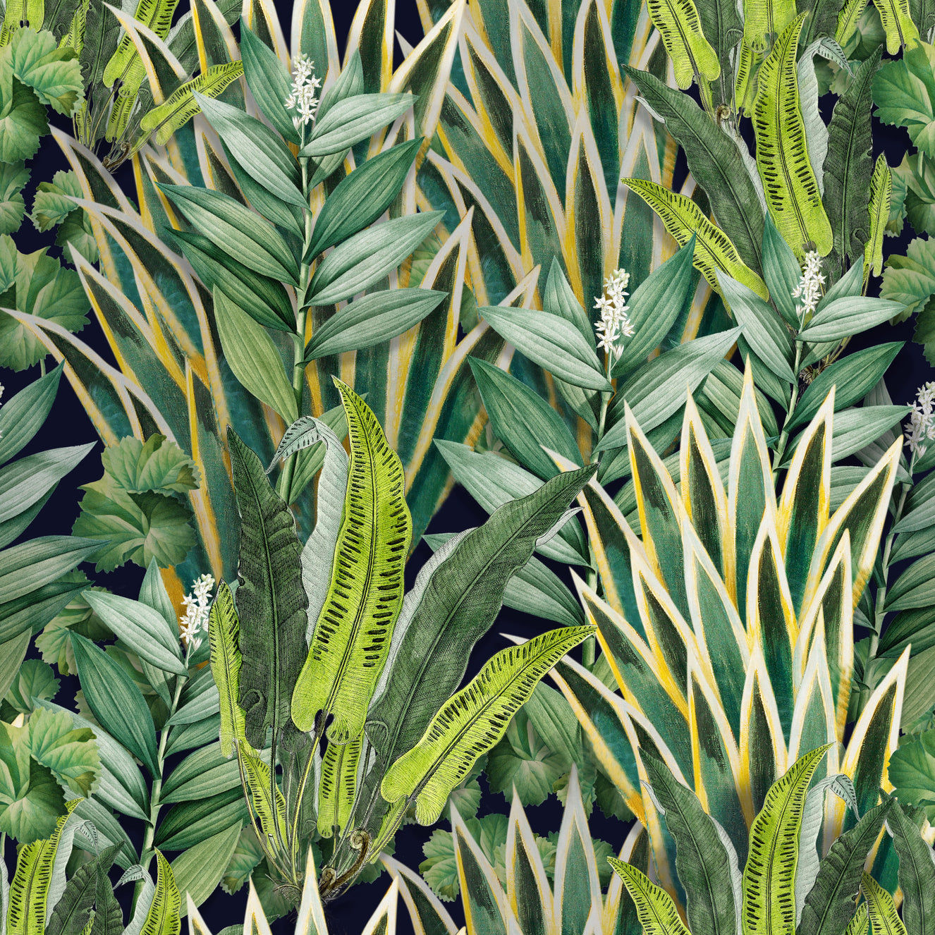 Exotic Foliage  Wallpaper⁠