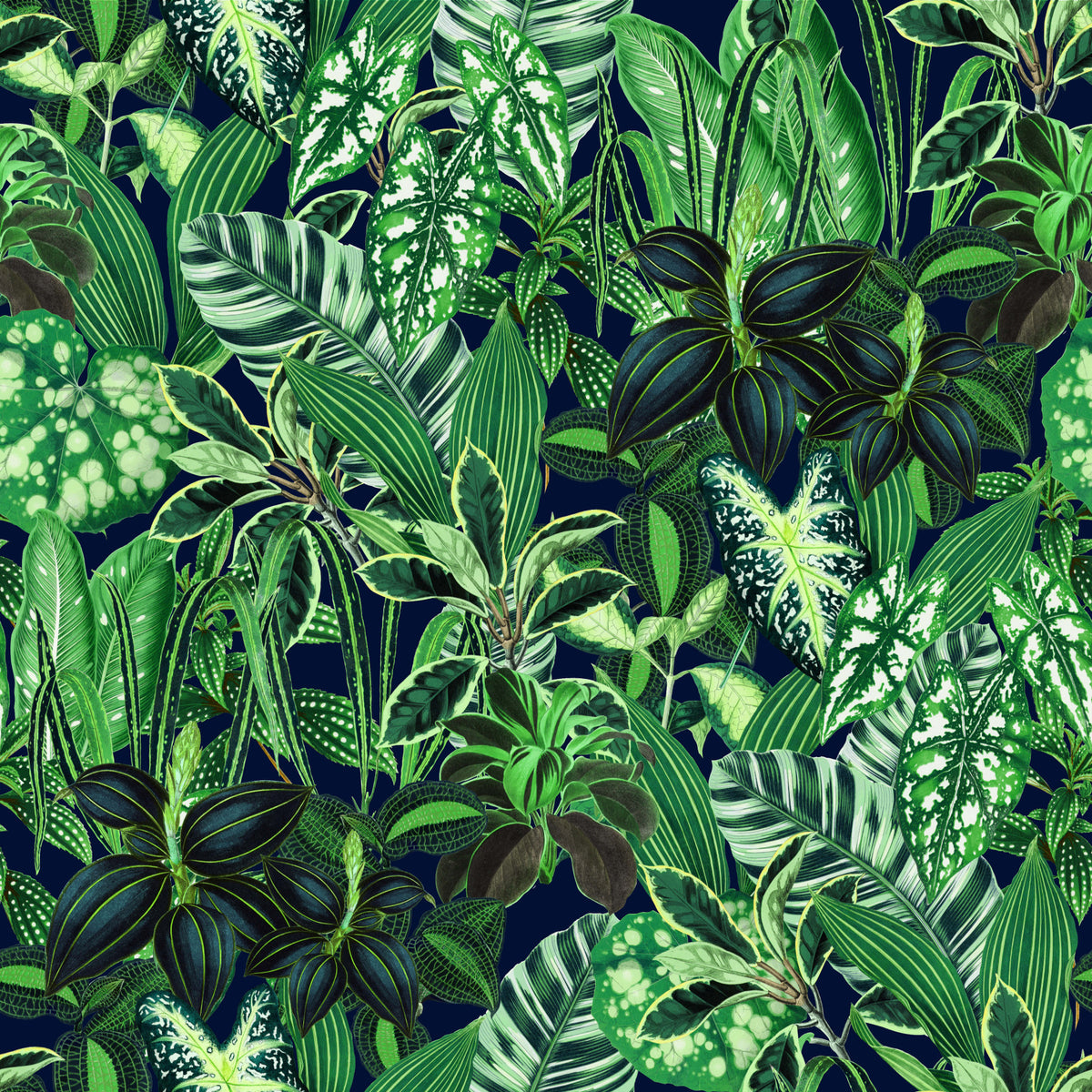 Intensely Green Tropics Wallpaper⁠ in your room