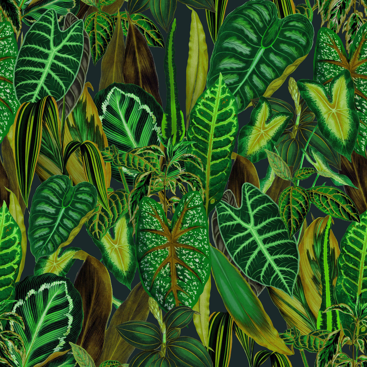 Green Exotic Foliage Wallpaper⁠ in your room