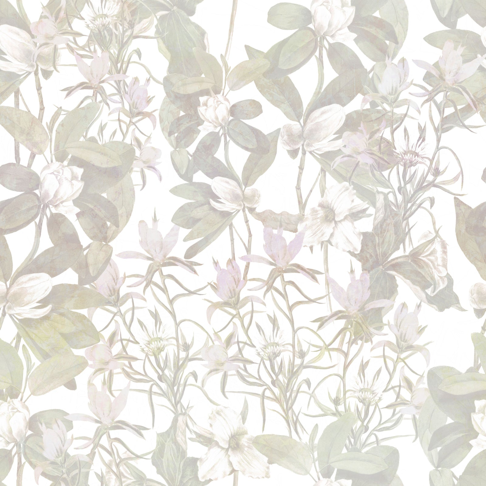 Ethereal Botany Wallpaper⁠