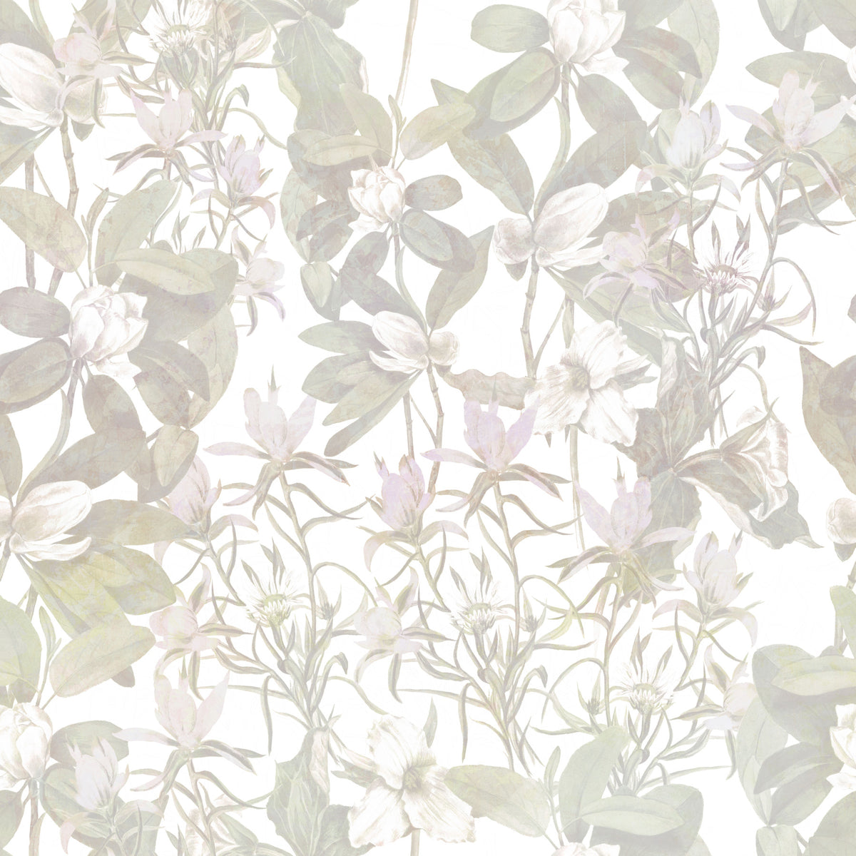 Ethereal Botany Wallpaper⁠ in your room — zoomed