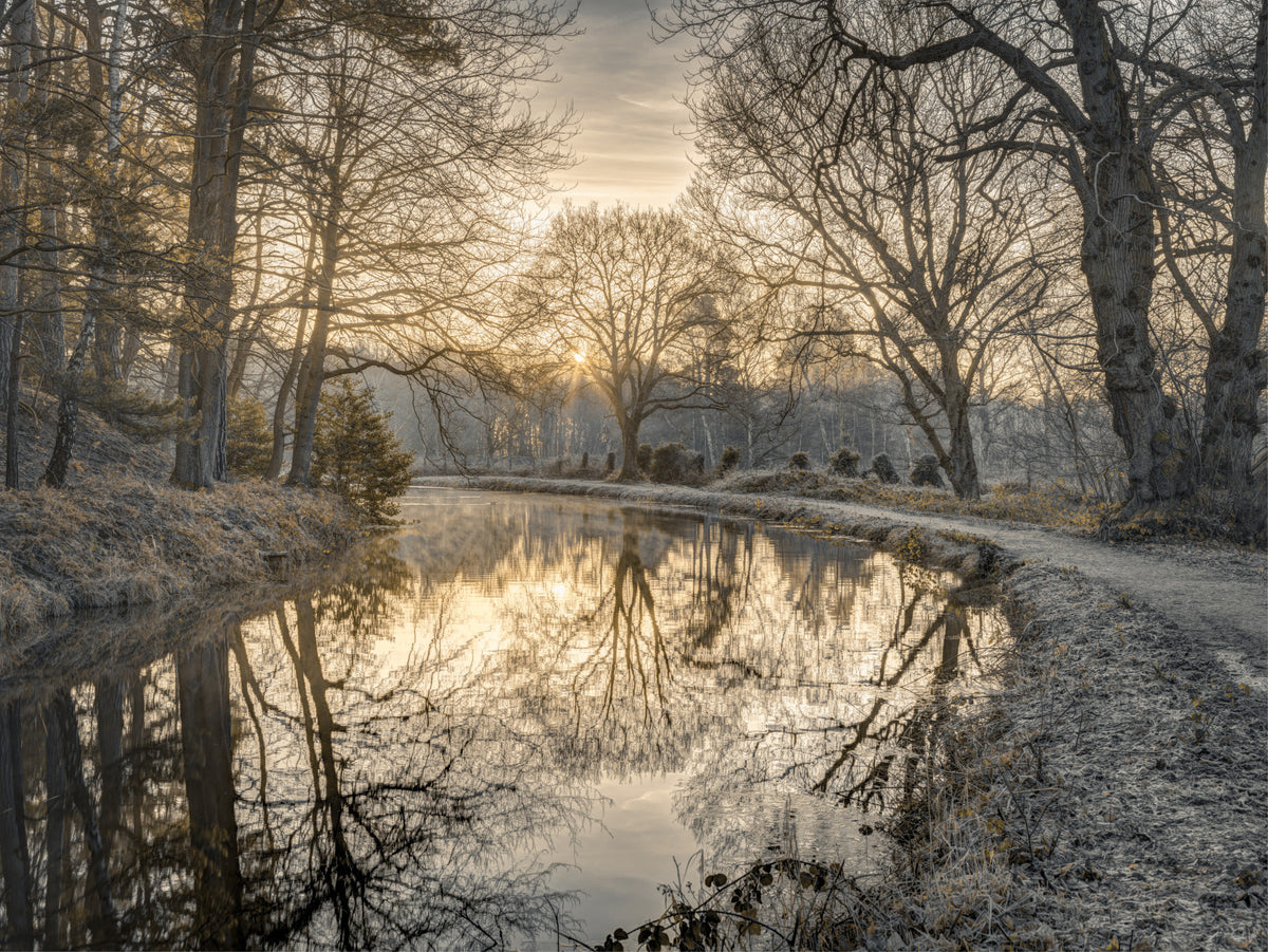 Frosty Morning Wall Mural in your room — zoomed