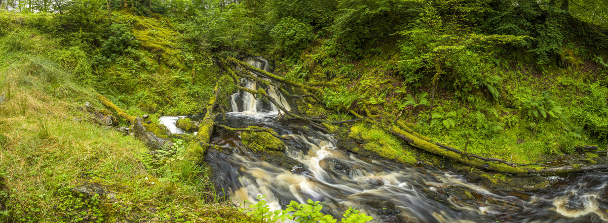 Mossy Falls Serenity Wall Mural in your room