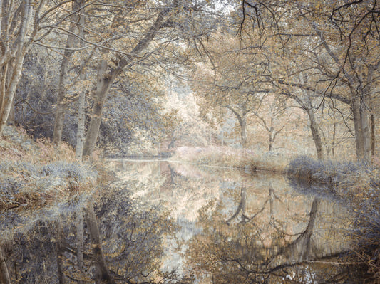 Whispering Waters Wall Mural