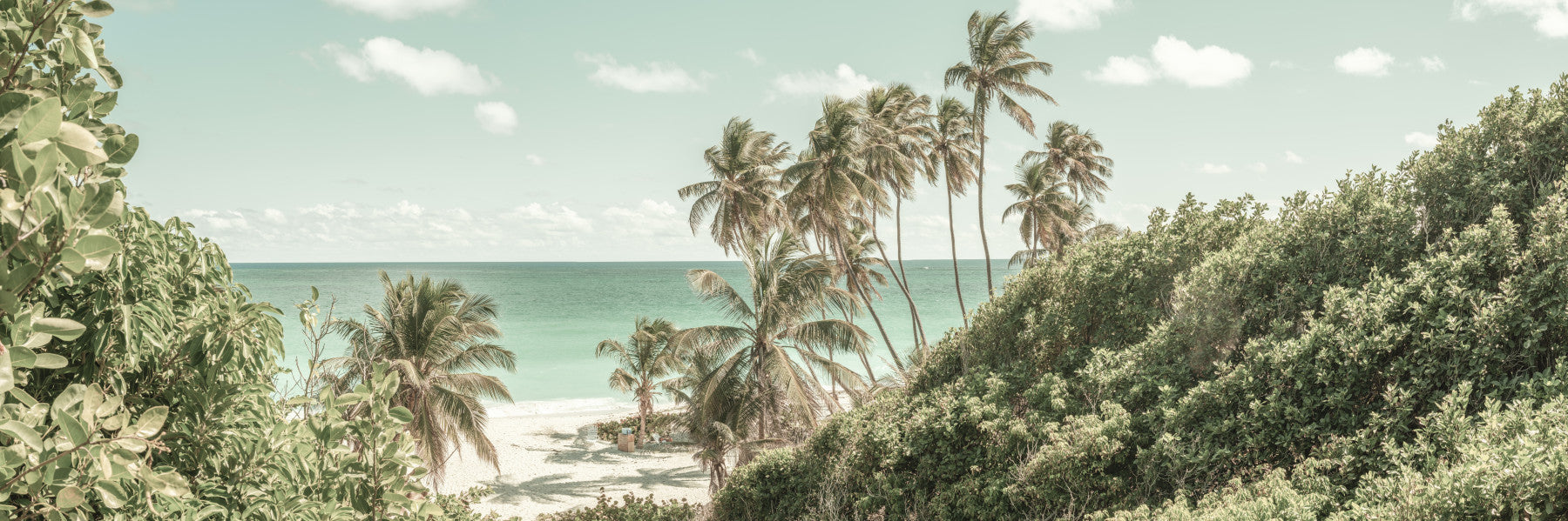 Oceanfront Serenity soothing wall covering