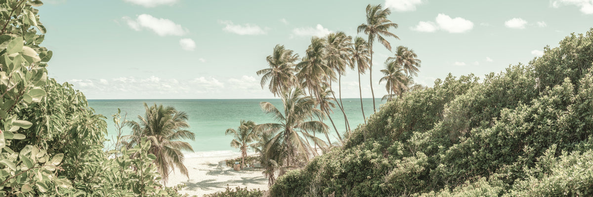 Oceanfront Serenity Wall Mural in your room — zoomed