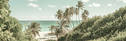 Oceanfront Serenity Wall Mural