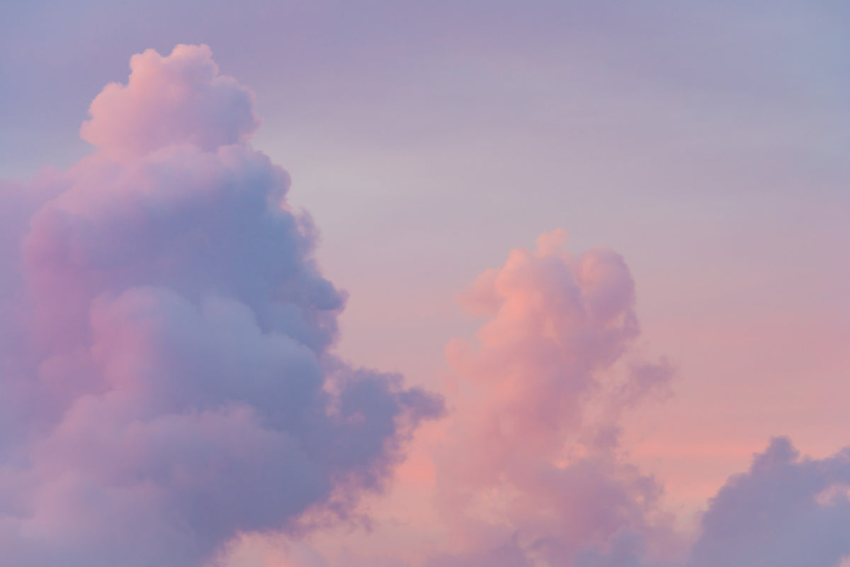 Pink Cloud Wall Mural in your room