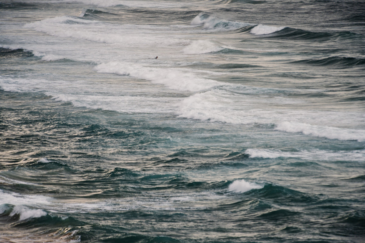 Winter Surfing V Wall Mural in your room — zoomed
