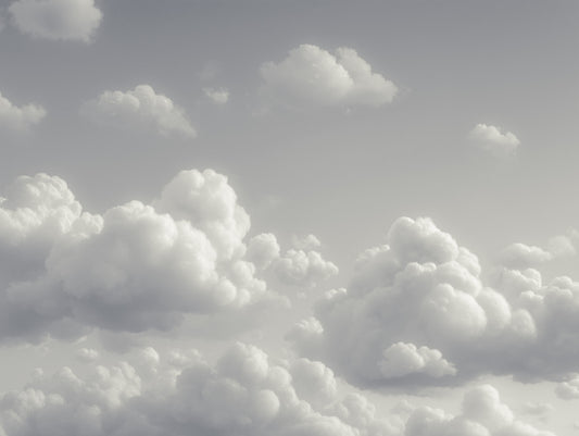 Dreamy Cloud Canvas Dancer Mural