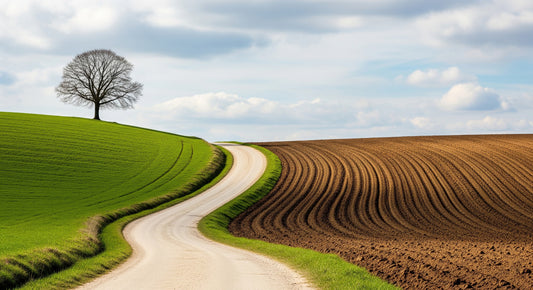 Rural Curve Wall Mural