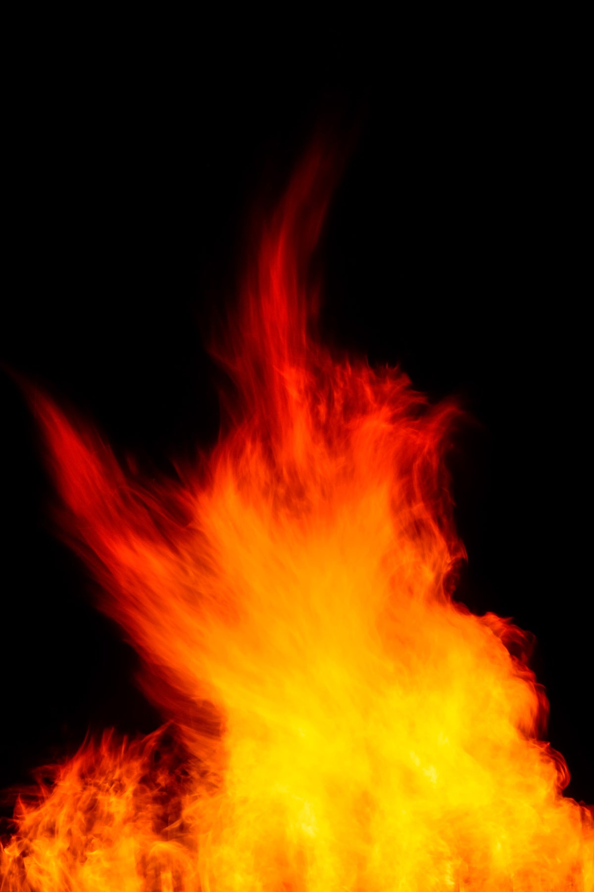 Lag BaOmer V Wall Mural in your room