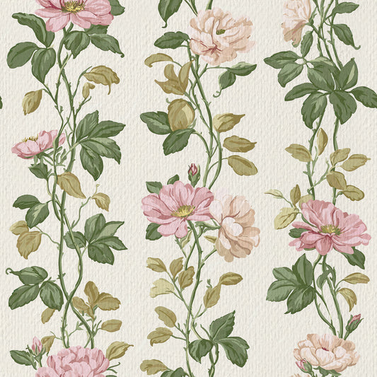 Pink Rose Vines Wallpaper⁠