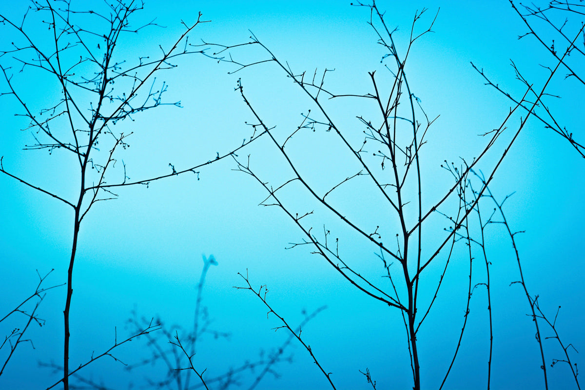 Twilight in the outdoors Wall Mural in your room — zoomed