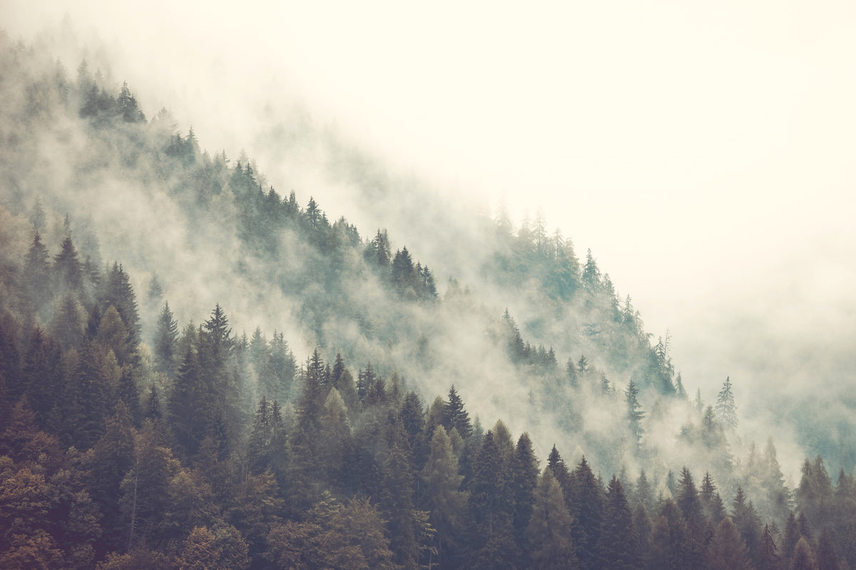 Misty Mountainside Wall Mural in your room — zoomed